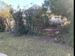 Picture of bushes and trees in front of a building.